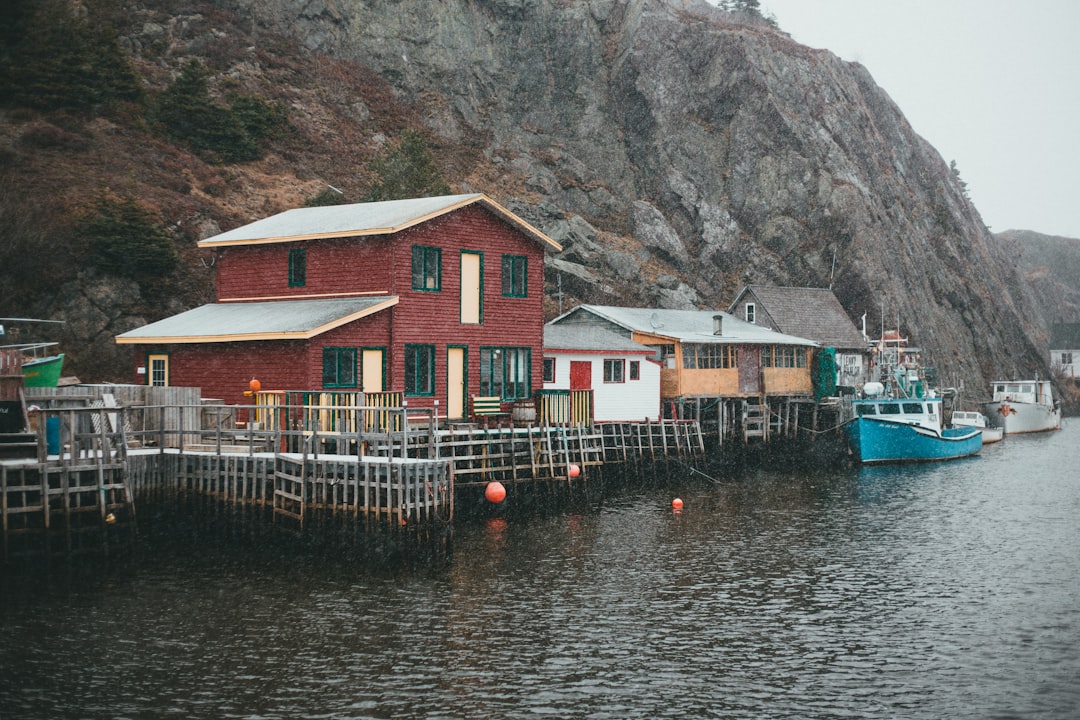 houses near body of water during daytime