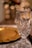 An elegant crystal glass with intricate patterns stands on a table, alongside a gold plate. Soft bokeh lights create a warm, festive ambiance in the background, enhancing the luxurious setting.