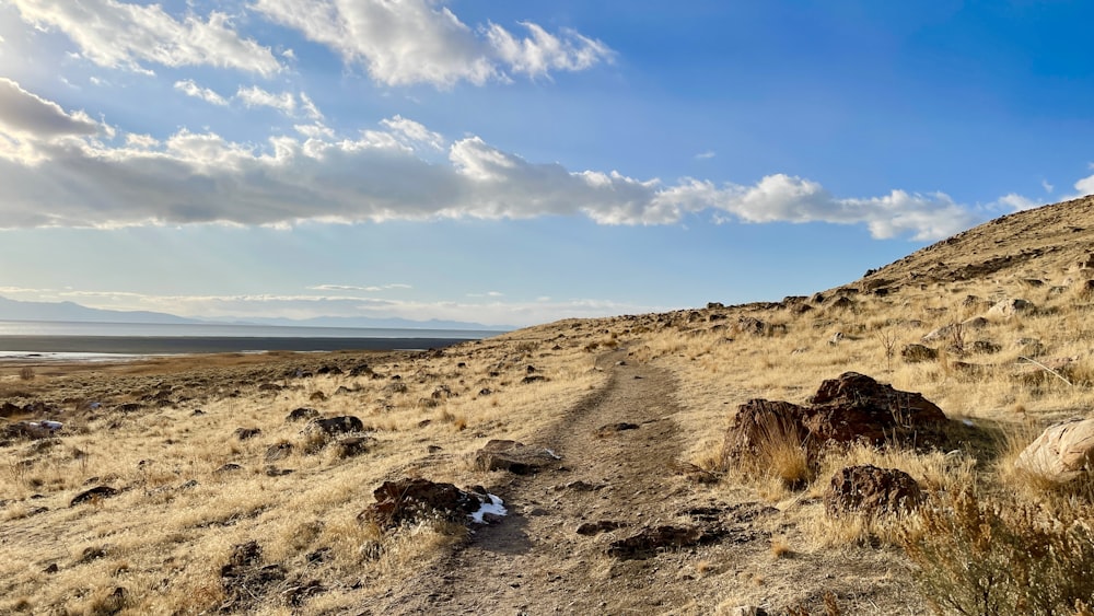 Braunes Feld unter blauem Himmel tagsüber