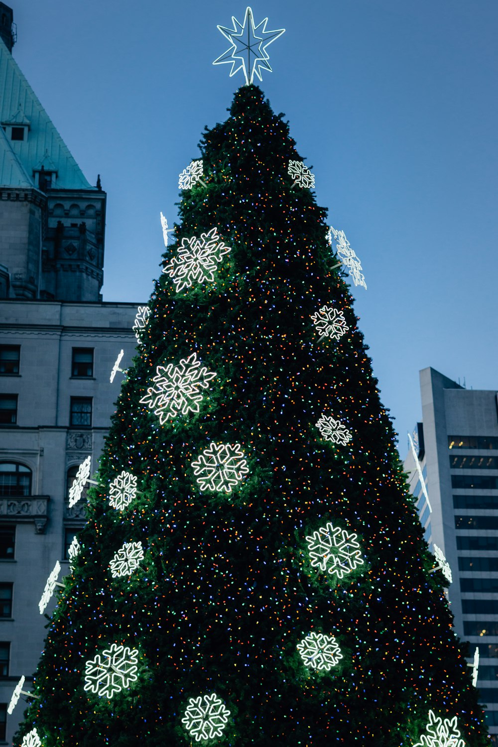 green christmas tree with string lights