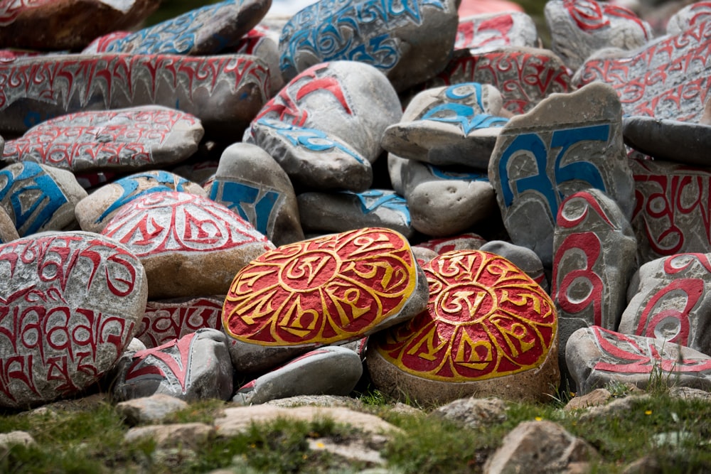 orange and blue stone on green grass during daytime