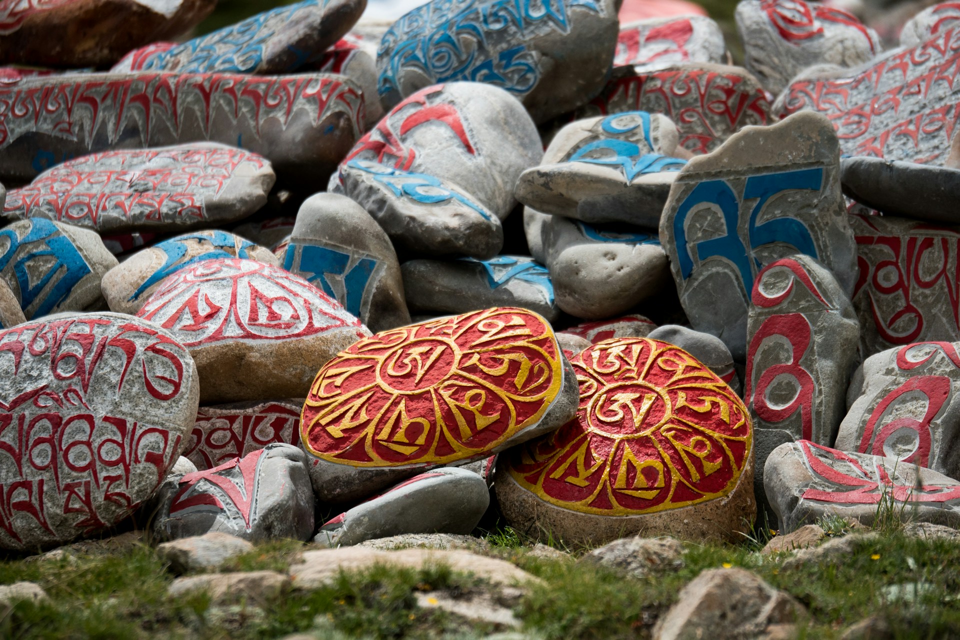 orange and blue stone on green grass during daytime