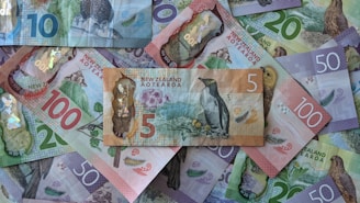 quel budget pvt / whv nouvelle-zélande ?