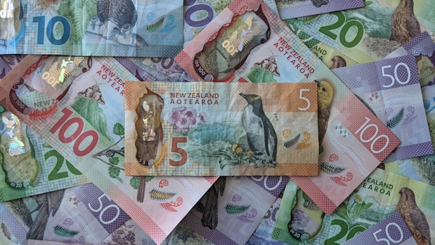 quel budget pvt / whv nouvelle-zélande ?