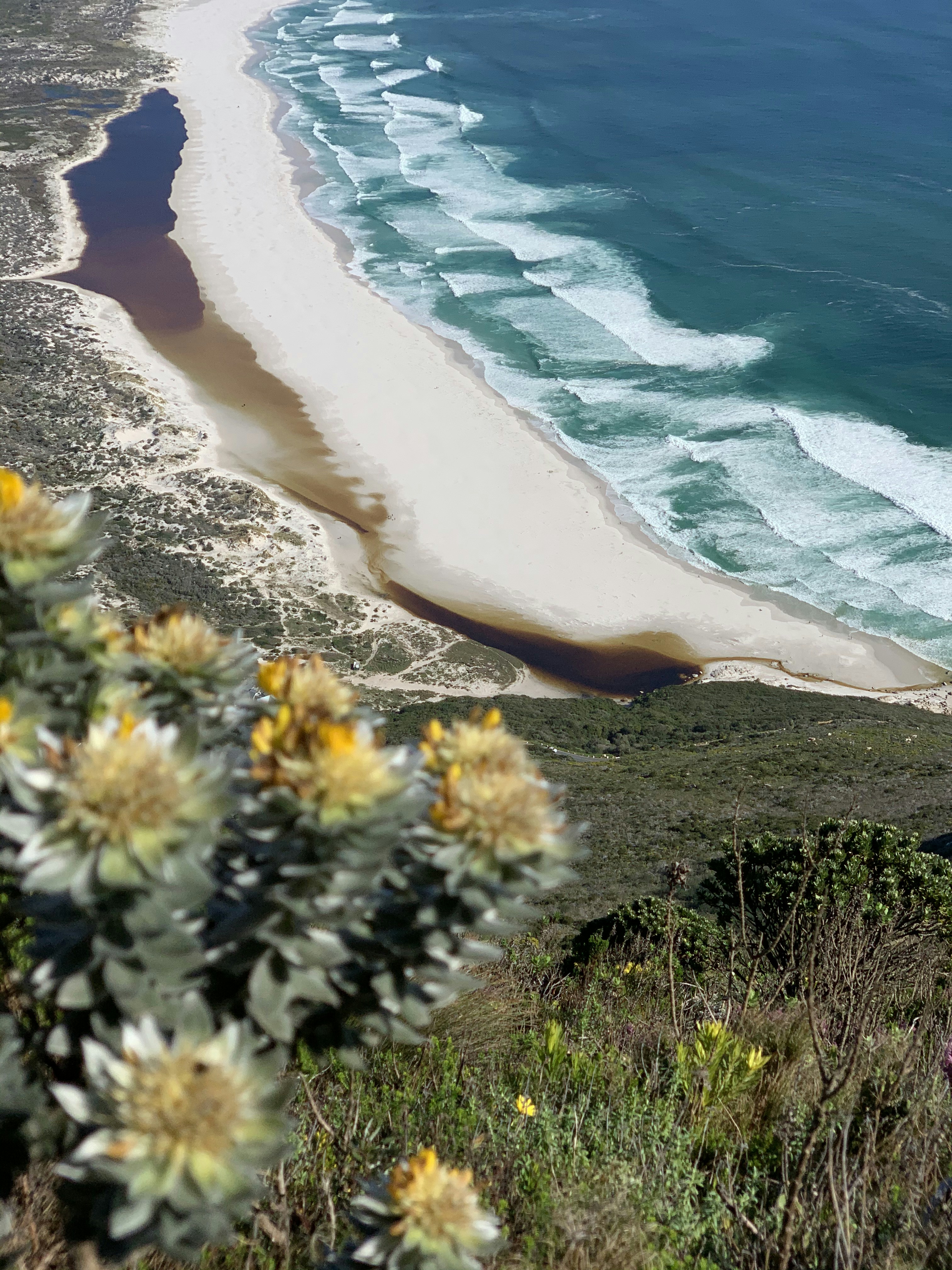 une vue sur une plage et un plan d’eau