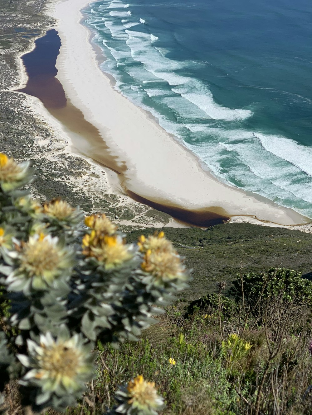 a view of a beach and a body of water