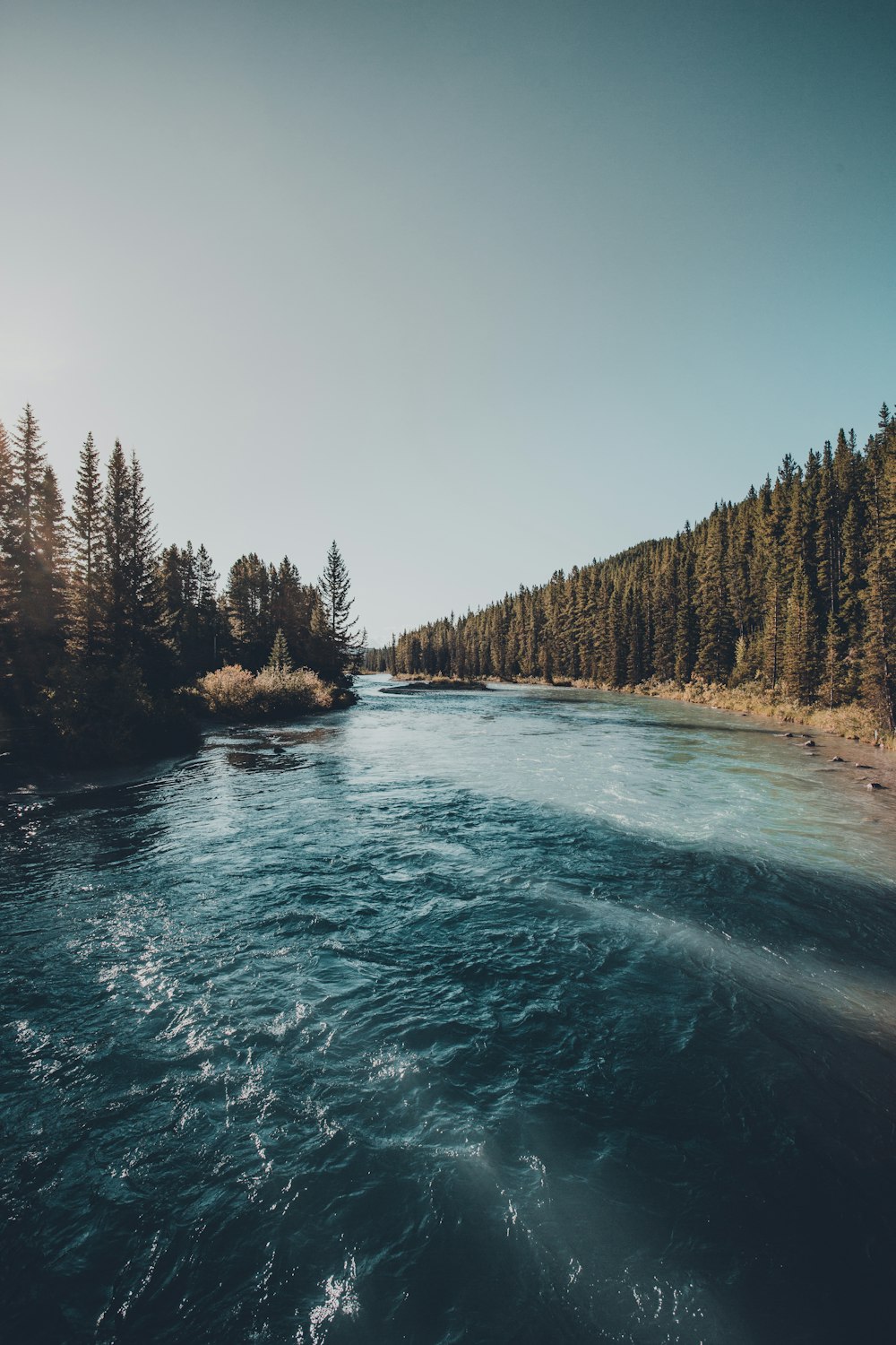 Grüne Bäume am Fluss unter blauem Himmel während des Tages