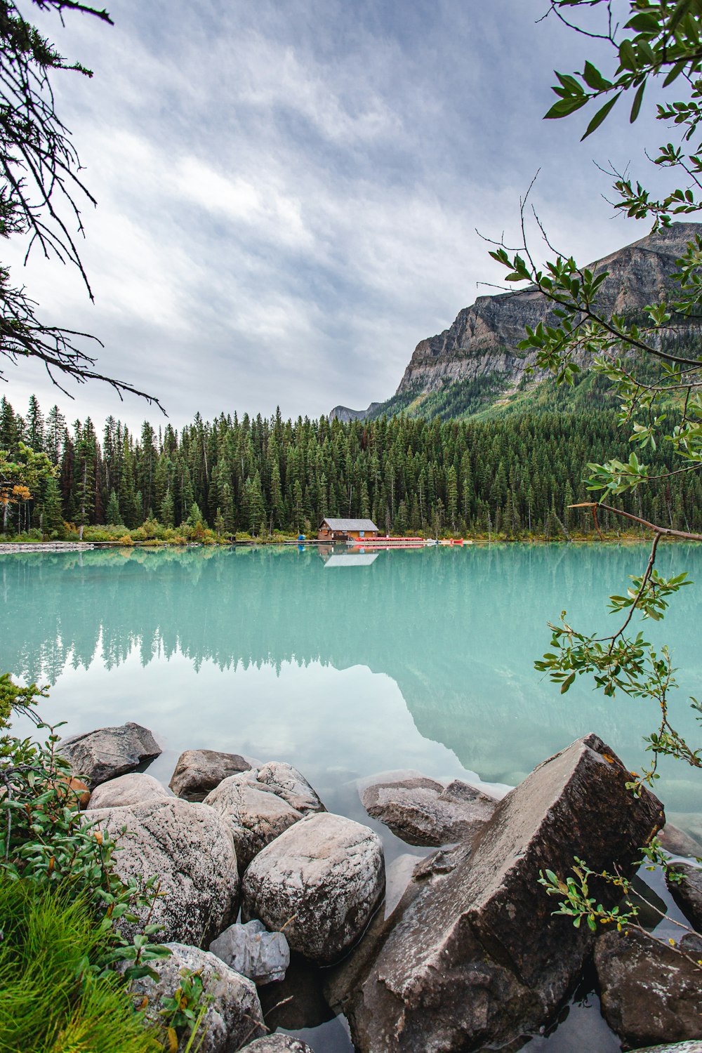 green trees beside body of water during daytime