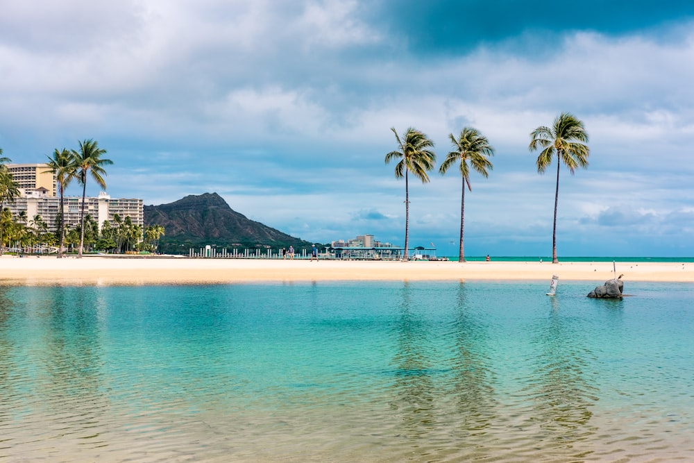 une plage avec des palmiers et un bateau dans l’eau