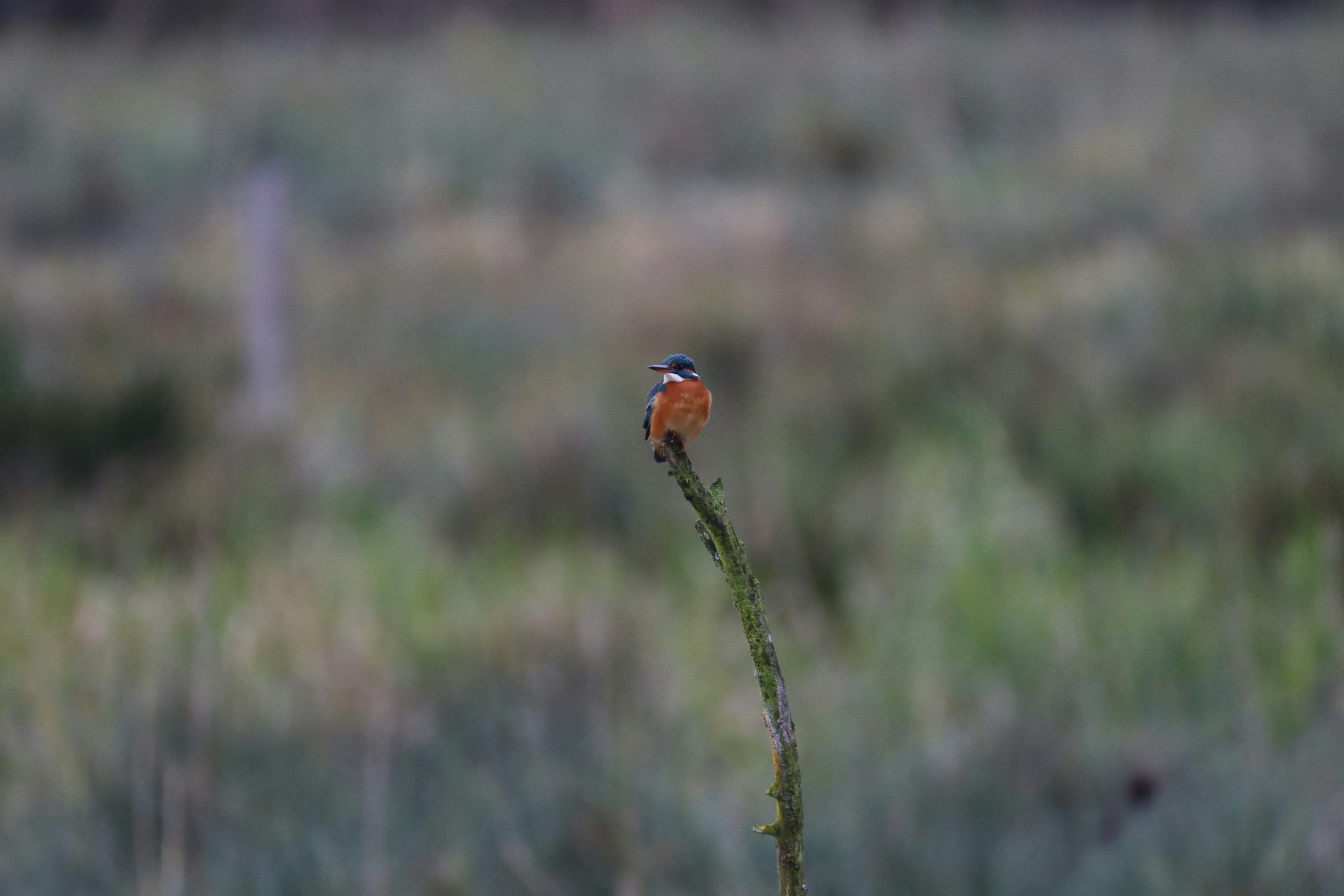 Photo by photasticlab