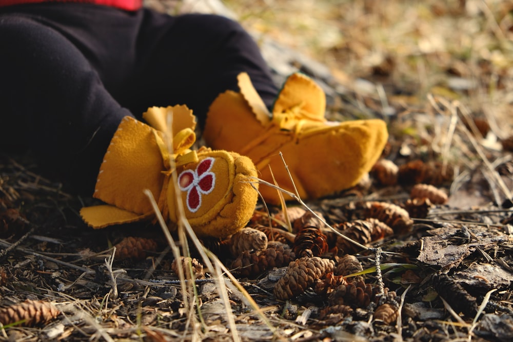 person in black pants and brown shoes lying on dried leaves