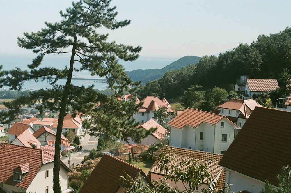 green tree near houses during daytime