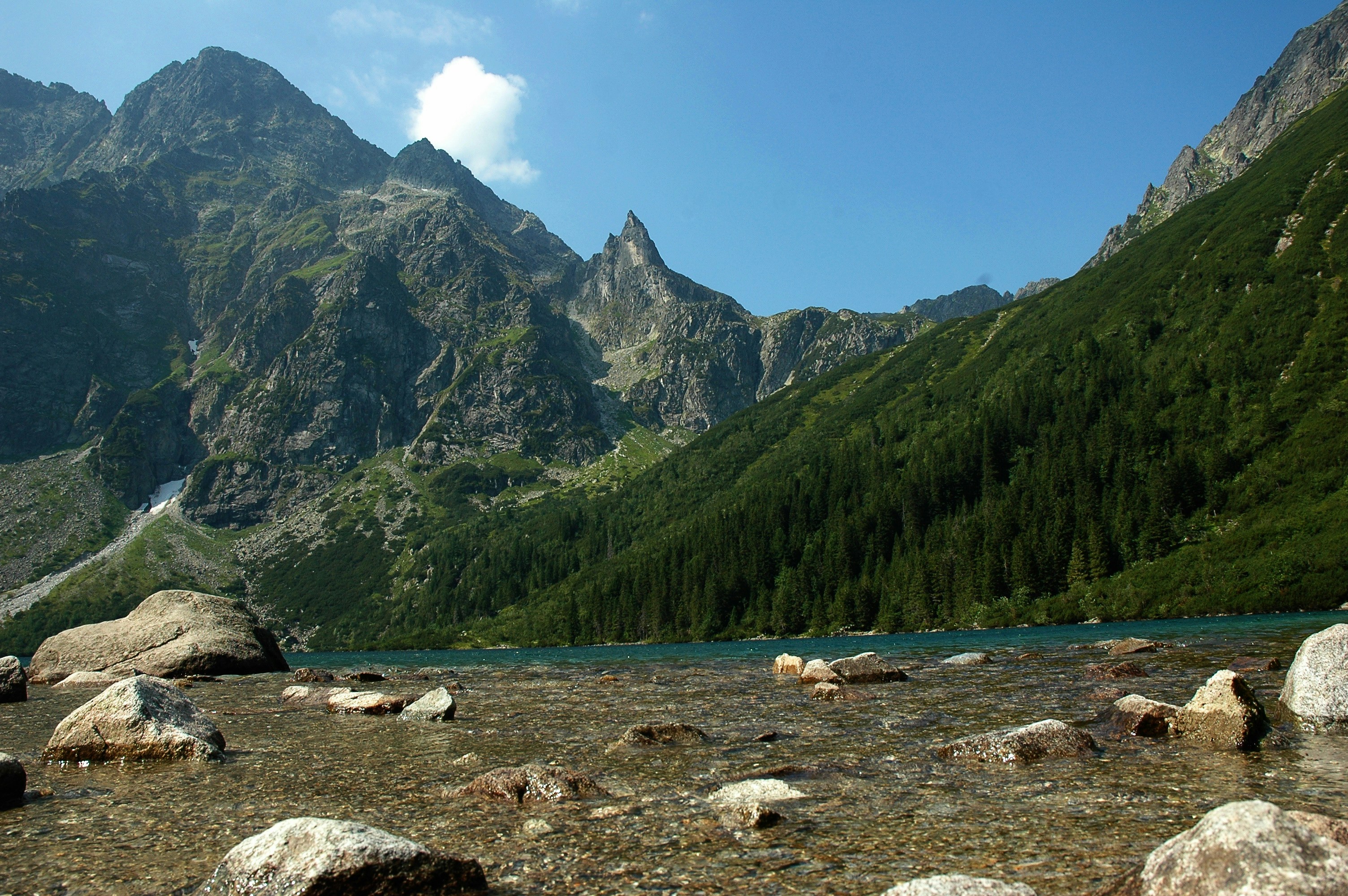 Pure Wyoming Natural Essentials
