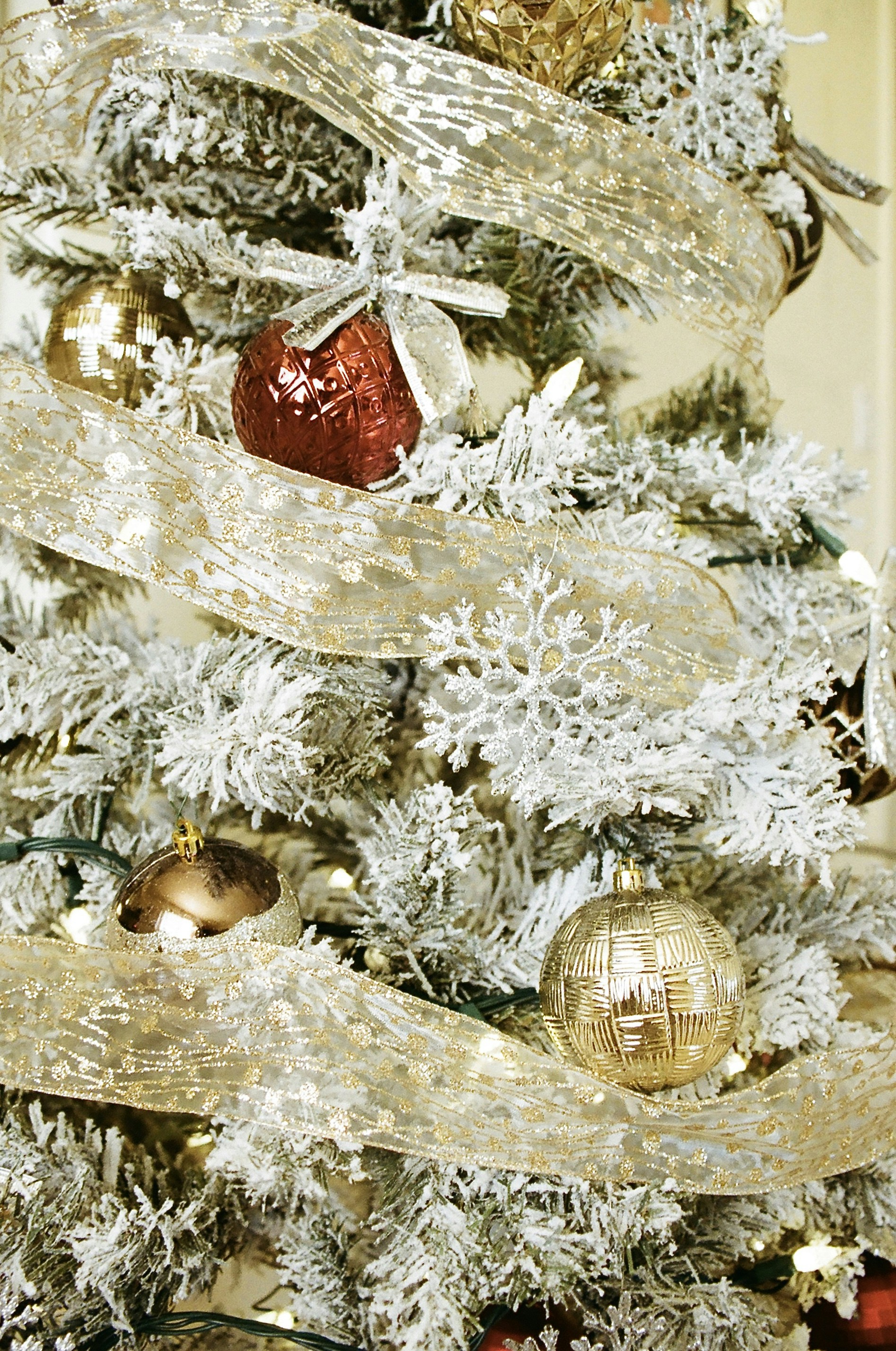 Photo by bestraan0712