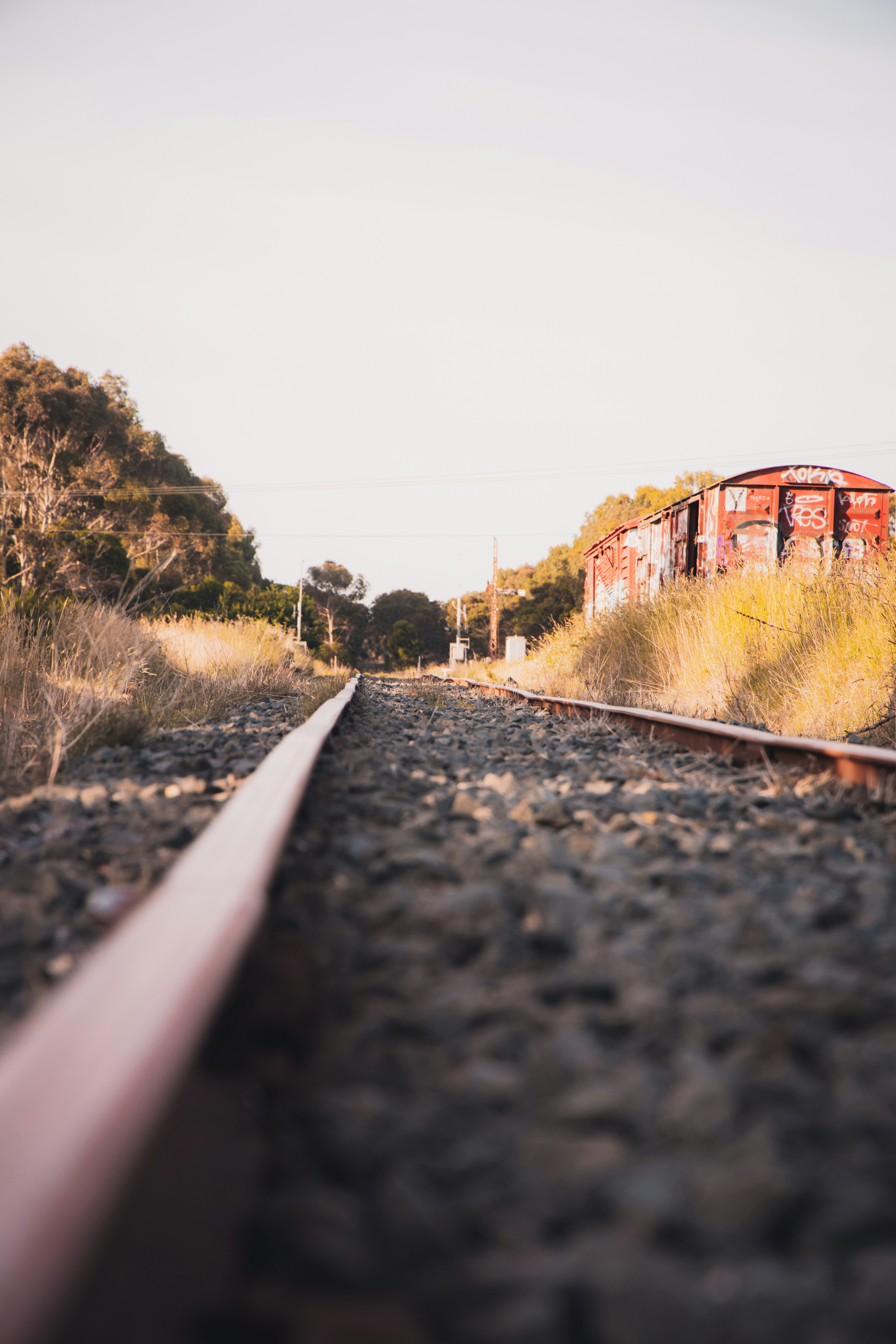train rail near trees during daytime