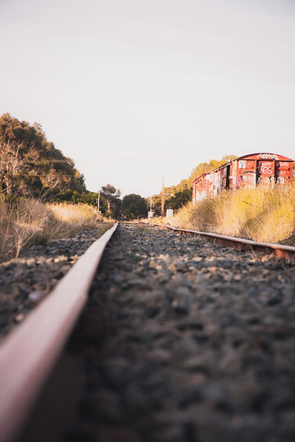 trem ferroviário perto de árvores durante o dia