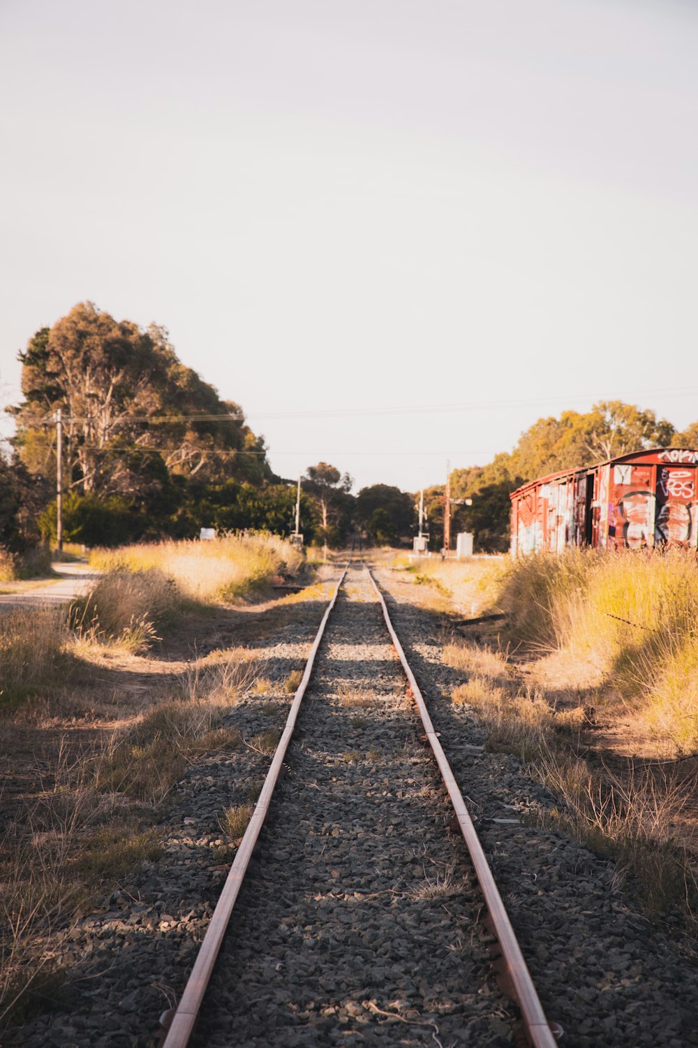 train rail near green trees during daytime