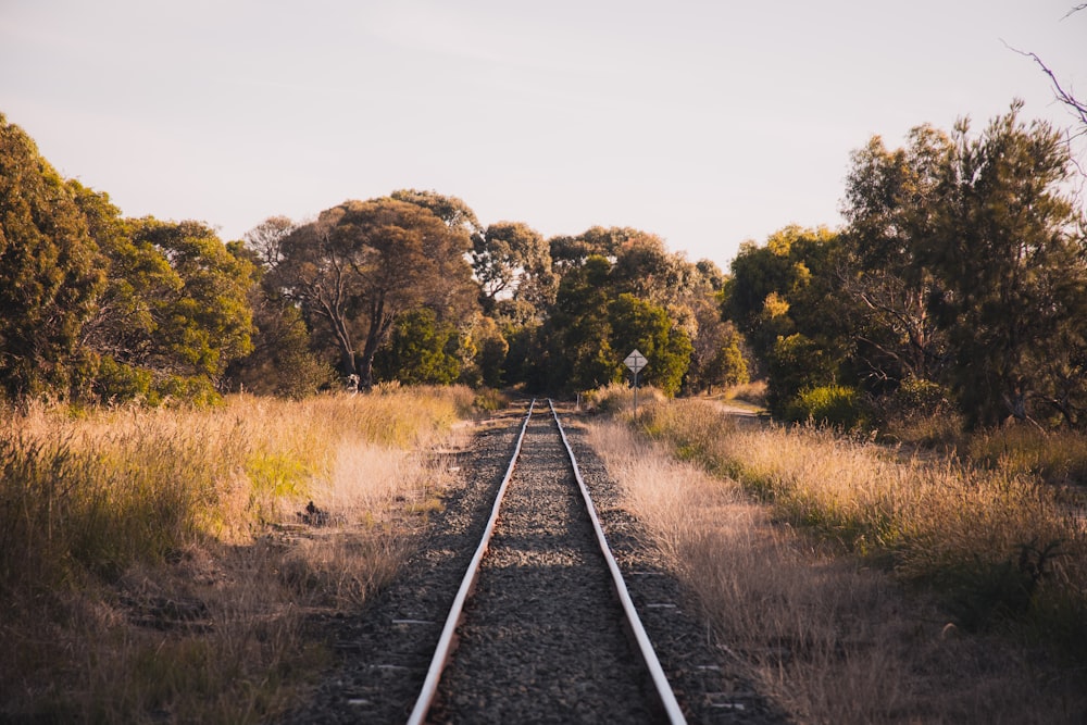 train rail between green grass and trees during daytime