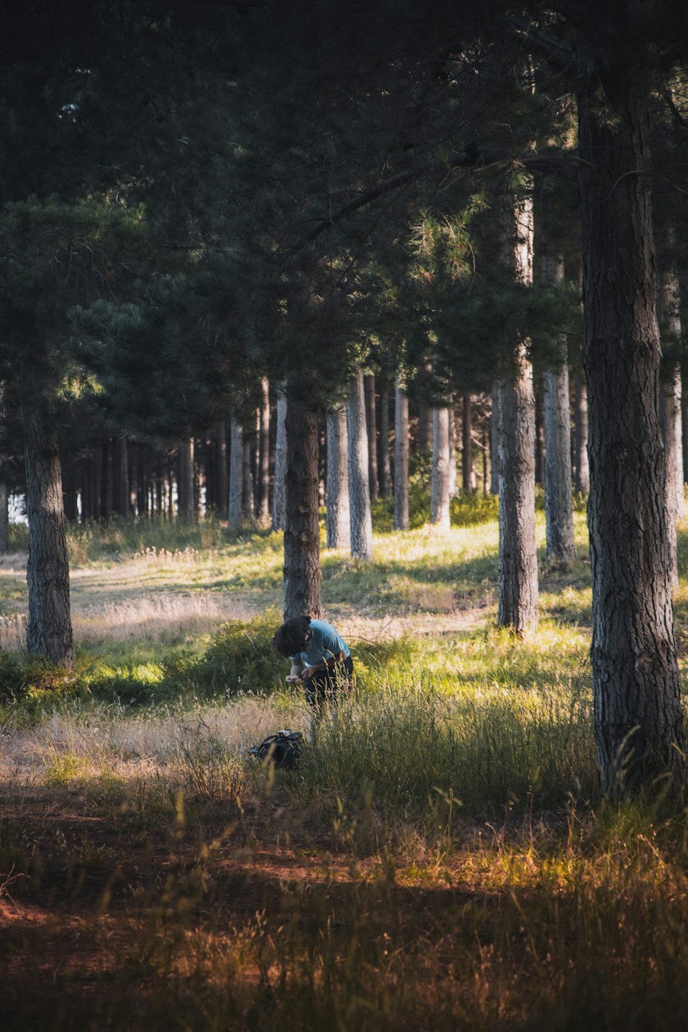 person in blue jacket and black pants sitting on green grass field surrounded by green trees