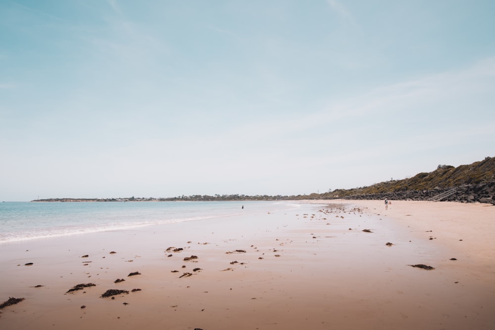 brown sand beach during daytime