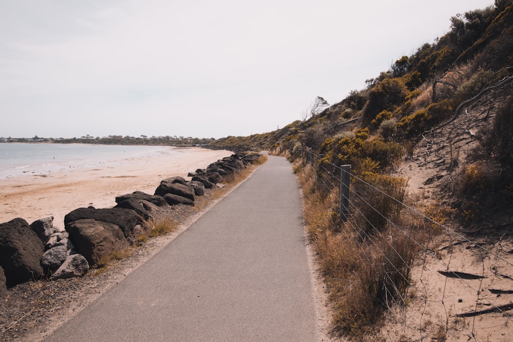 gray concrete pathway near body of water during daytime