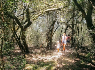 A family walks a forested path lined with wildflowers, sunlight filtering through the trees.