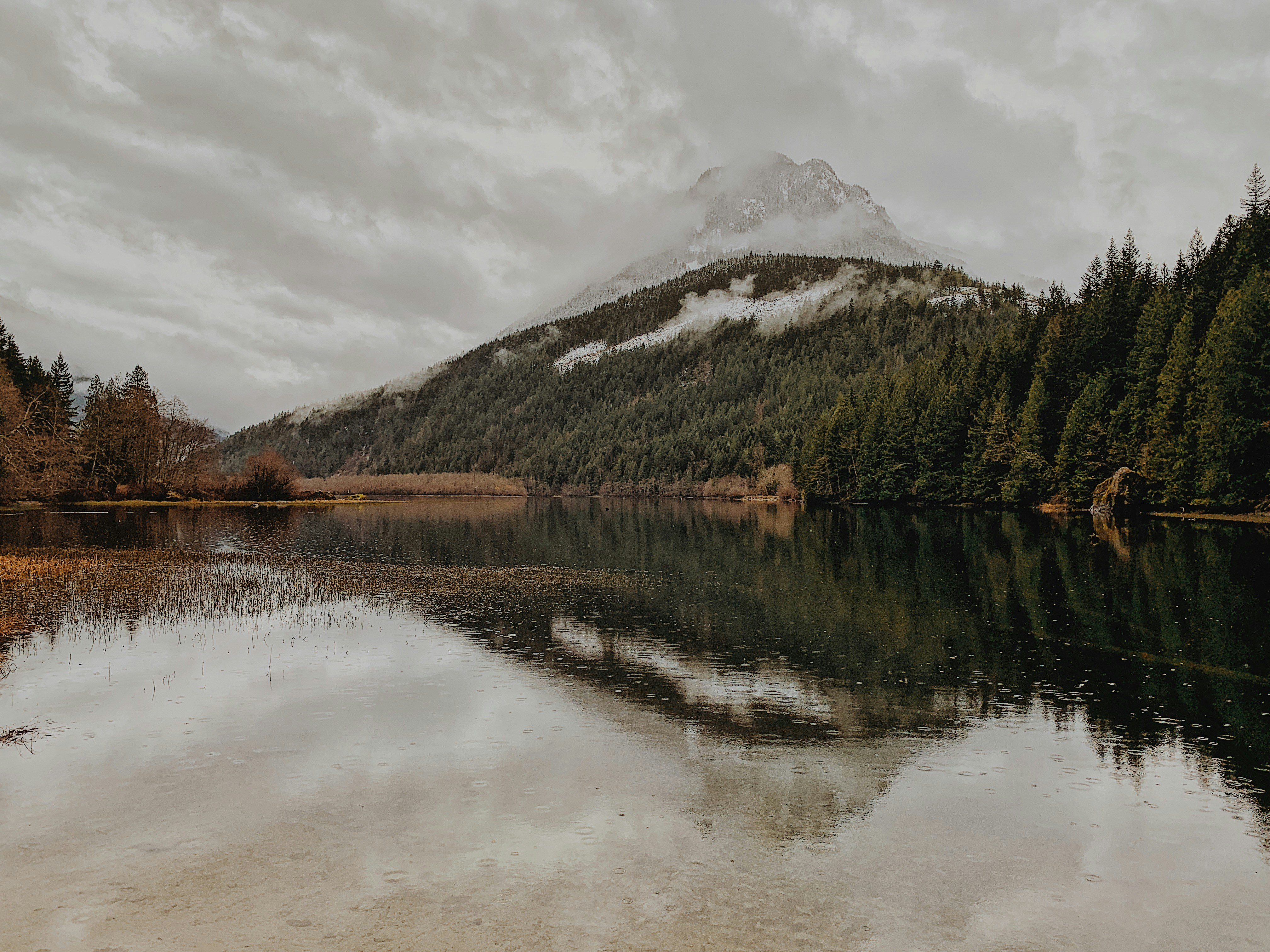 Understanding Headaches in MS: What You Need to Know