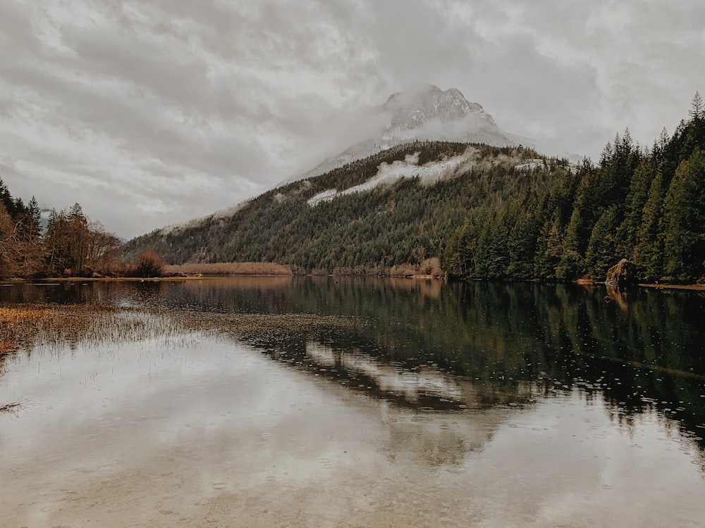 green trees near lake and mountain under white clouds during daytime