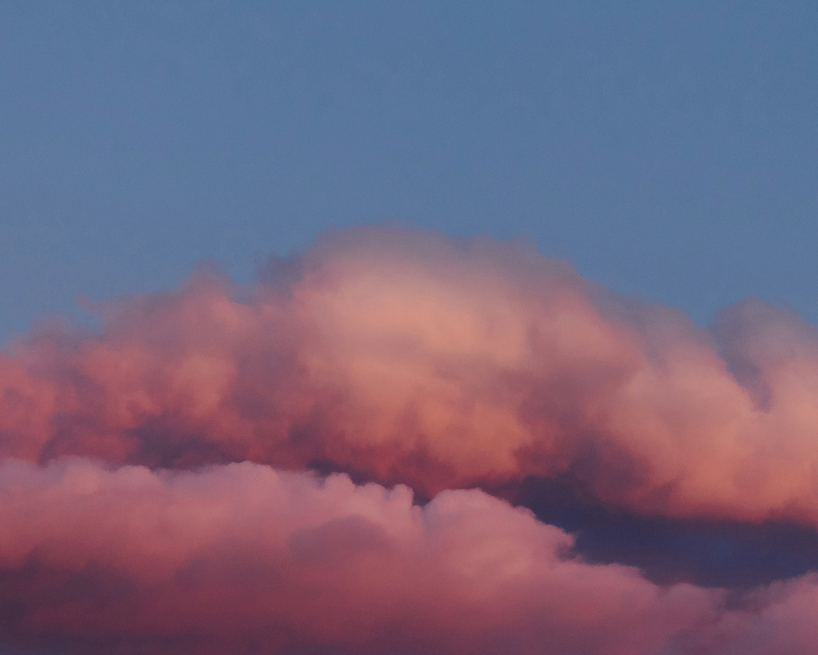 Photo by guzmanbarquin