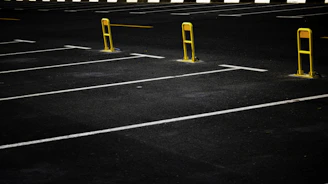 yellow and gray pedestrian line