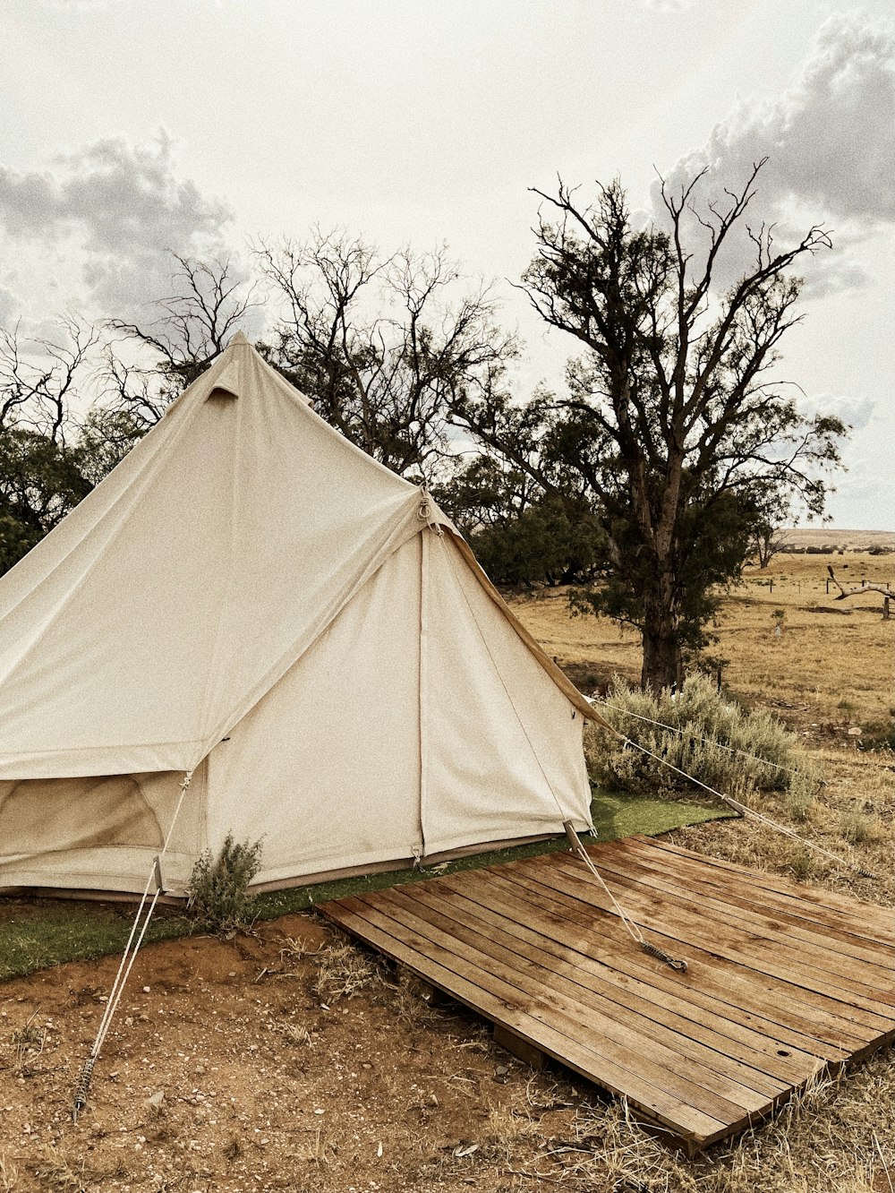 white tent on brown grass field during daytime