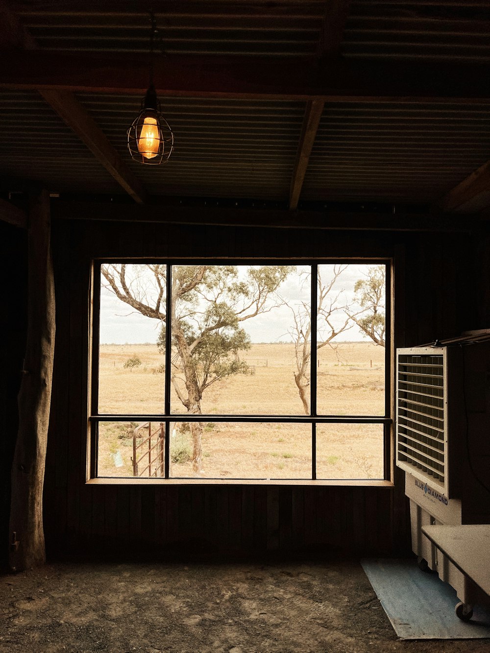 black framed glass window with green trees