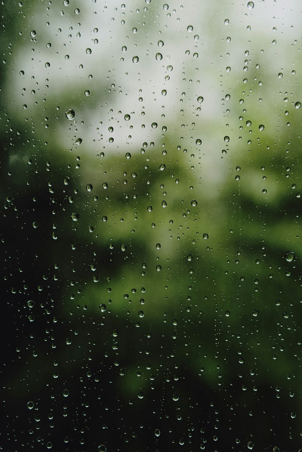 water droplets on glass window