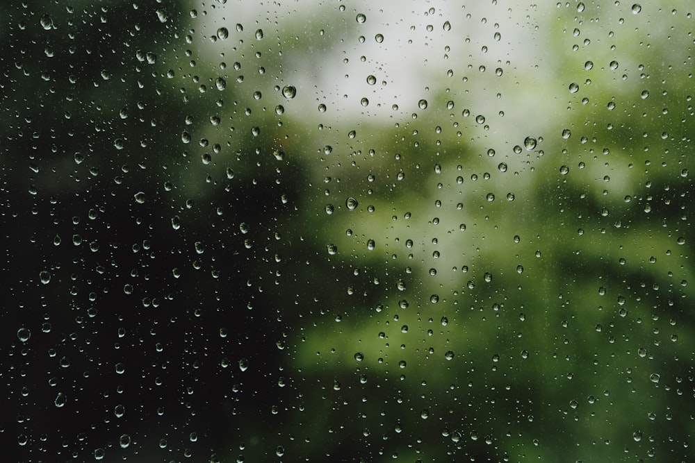 water droplets on glass window