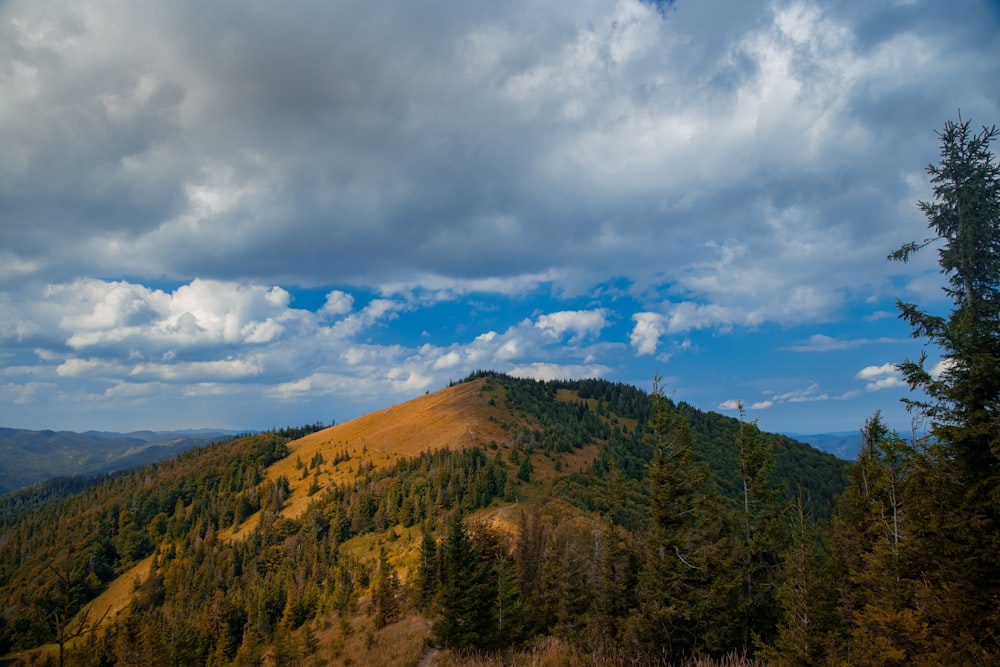 green trees on mountain under blue sky during daytime