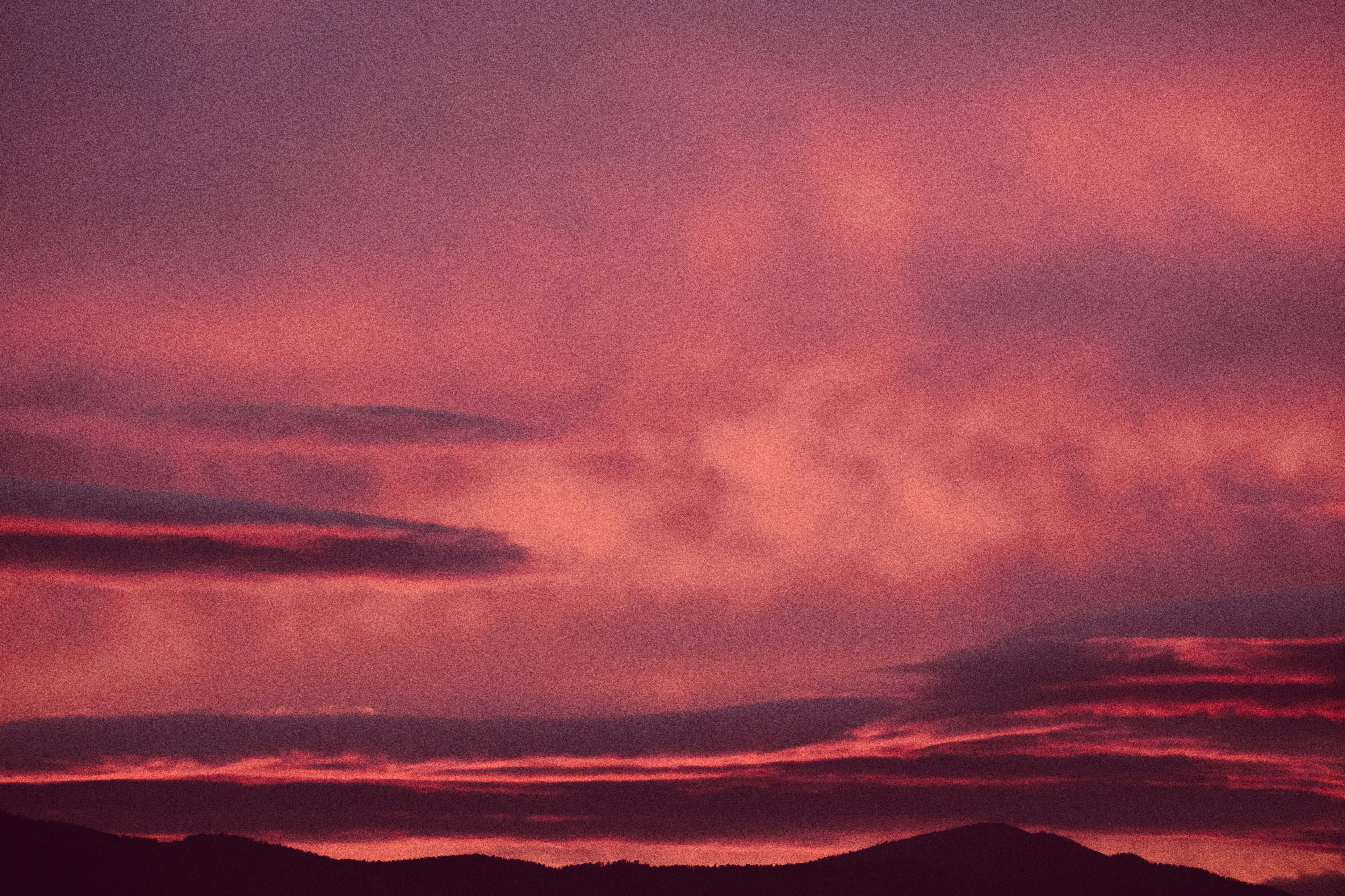 Photo by luisjlara343