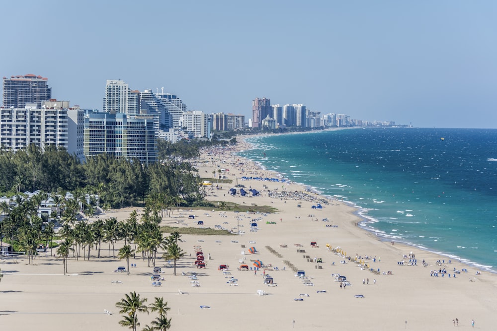 people on beach during daytime