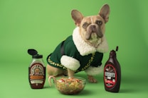 A small dog with a light brown coat and big ears is wearing a green outfit with white fur trim, standing on a green background. In front of the dog is a bowl of food. To the left of the dog is a bottle of pancake and waffle syrup, and to the right is a bottle of Hershey's chocolate syrup.