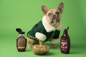 A small dog with a light brown coat and big ears is wearing a green outfit with white fur trim, standing on a green background. In front of the dog is a bowl of food. To the left of the dog is a bottle of pancake and waffle syrup, and to the right is a bottle of Hershey's chocolate syrup.