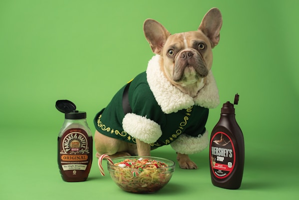 A small dog with a light brown coat and big ears is wearing a green outfit with white fur trim, standing on a green background. In front of the dog is a bowl of food. To the left of the dog is a bottle of pancake and waffle syrup, and to the right is a bottle of Hershey's chocolate syrup.