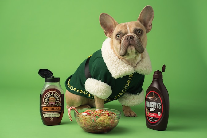 Home Cooking for Your Beloved Dog: A Whimsical Culinary Adventure