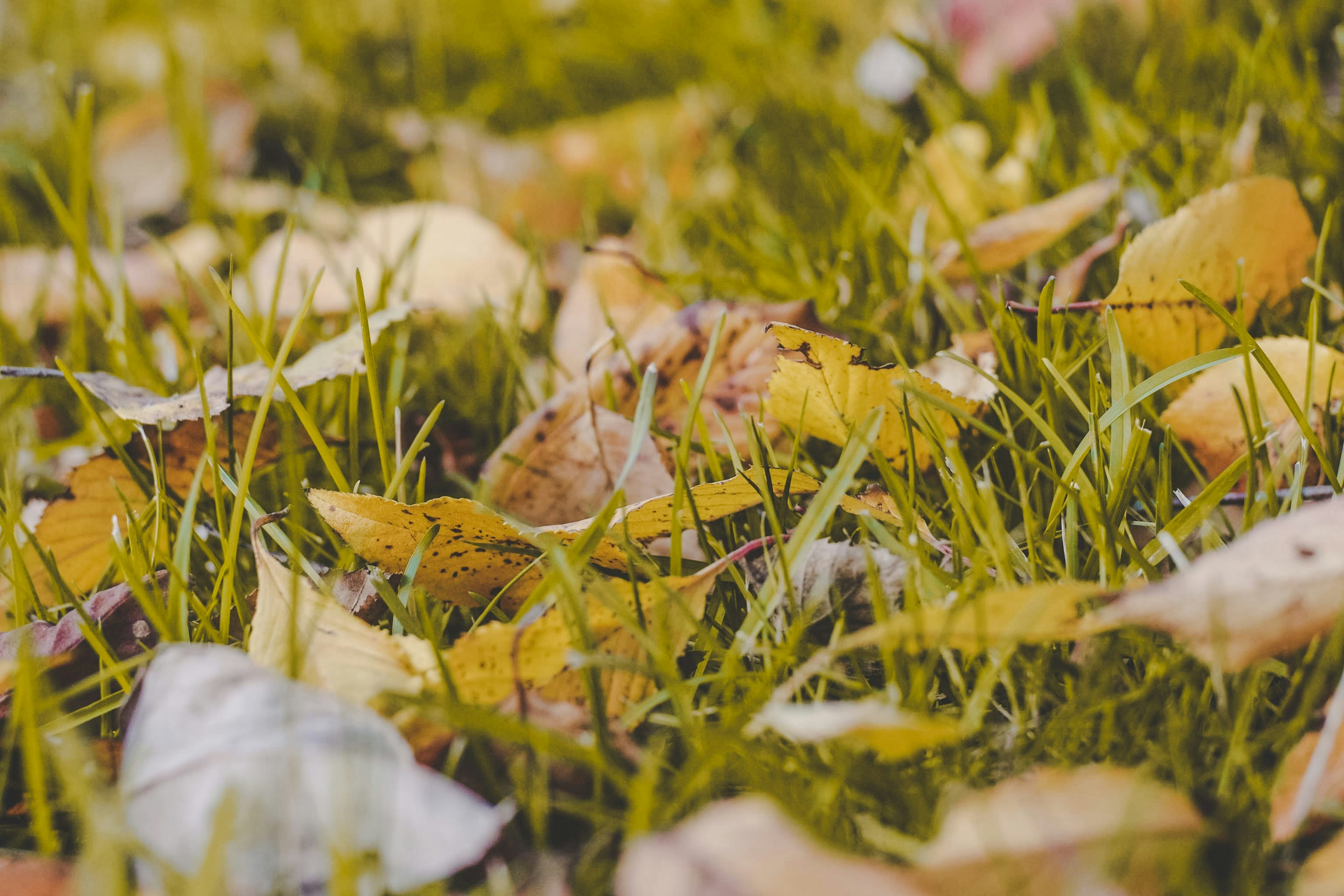 Photo by mayank_photography