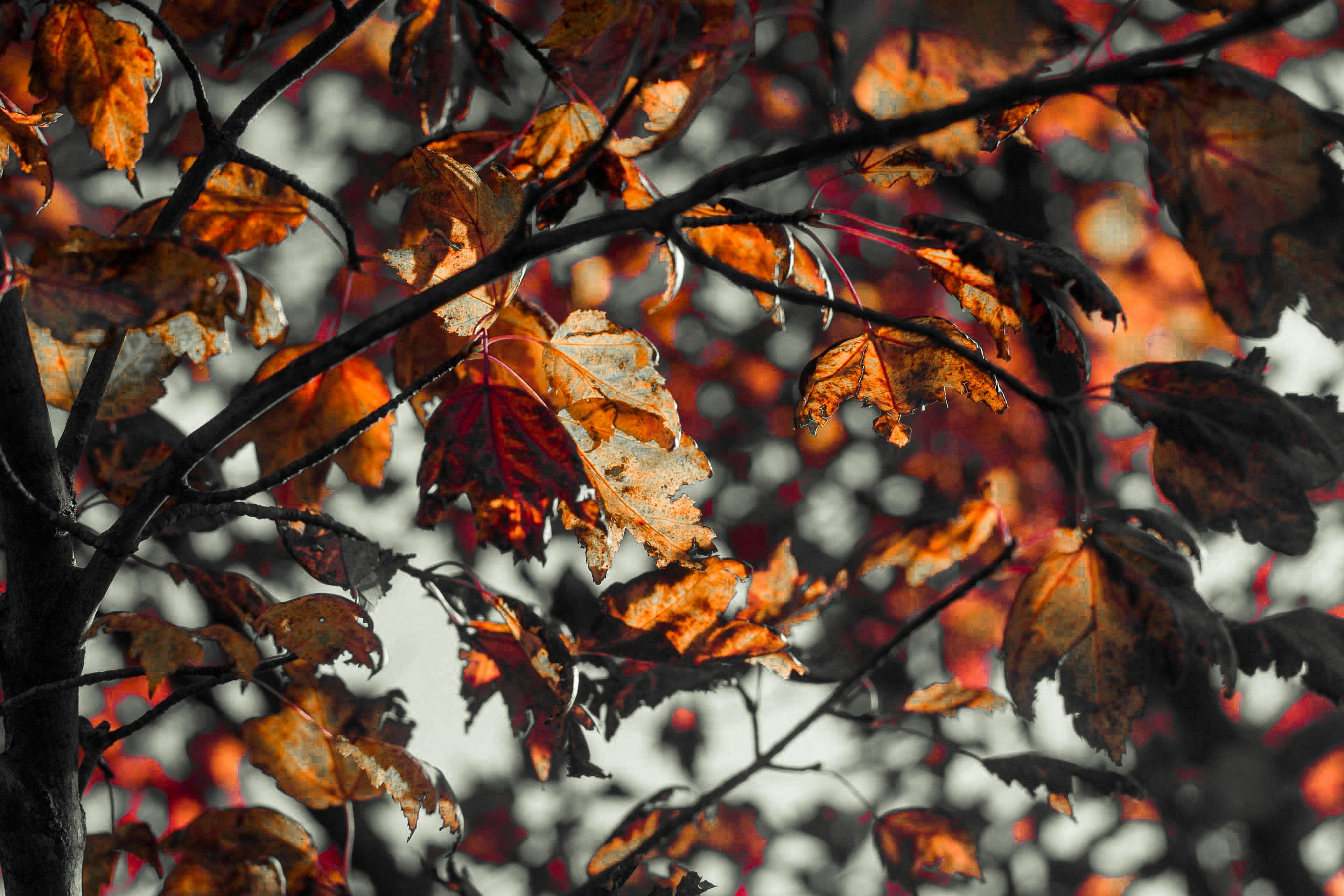 Photo by mayank_photography