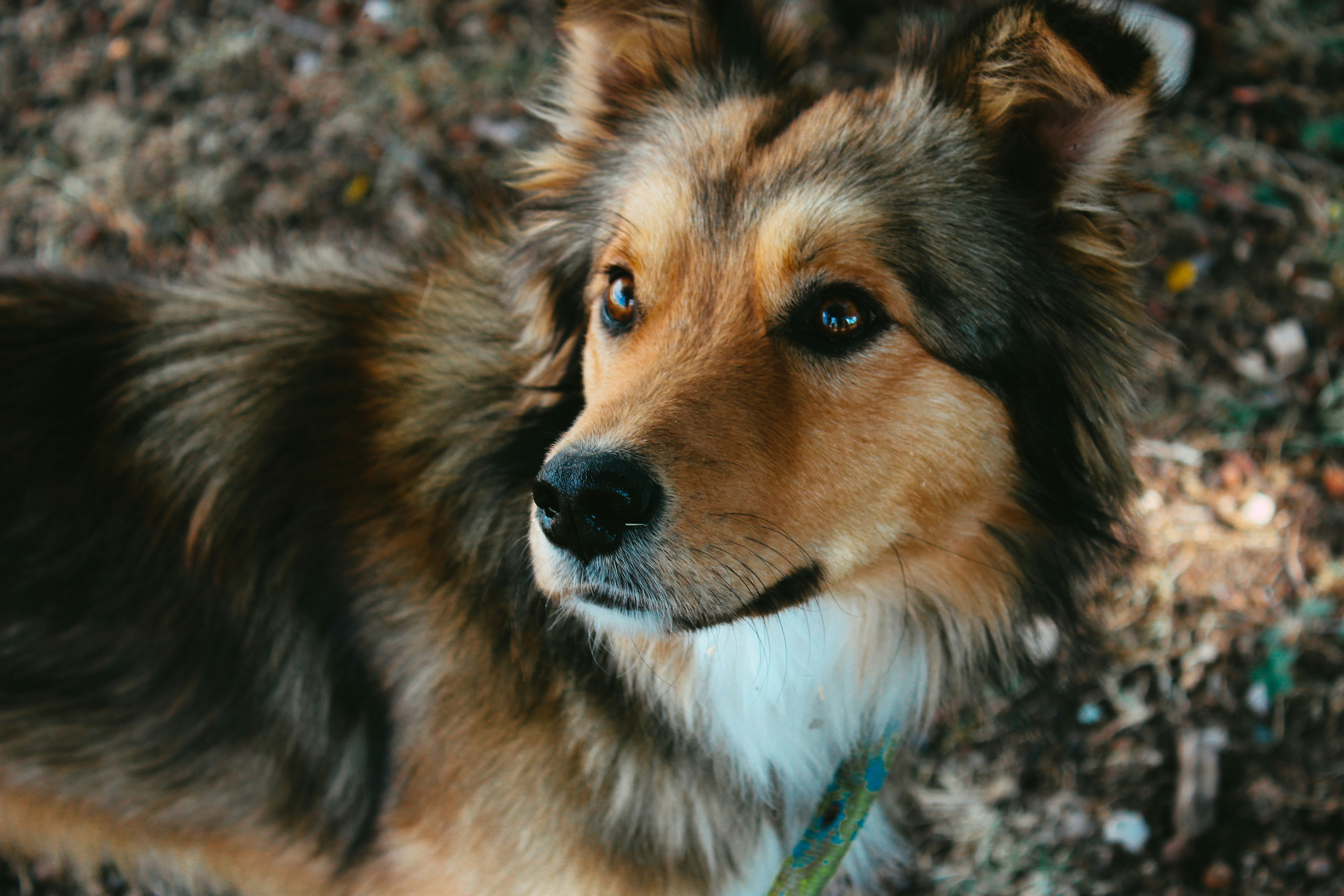 Imagen de Hematología