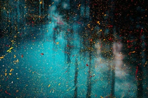 water droplets on glass window