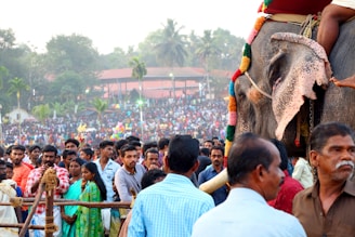 A large crowd of people gathers outdoors for a festival or event. An elaborately decorated elephant is prominently featured, its trunk adorned with colorful fabric. The background includes tropical vegetation and buildings, suggesting a warm climate. The people in the crowd are dressed in a variety of colorful clothing, some looking directly at the elephant.