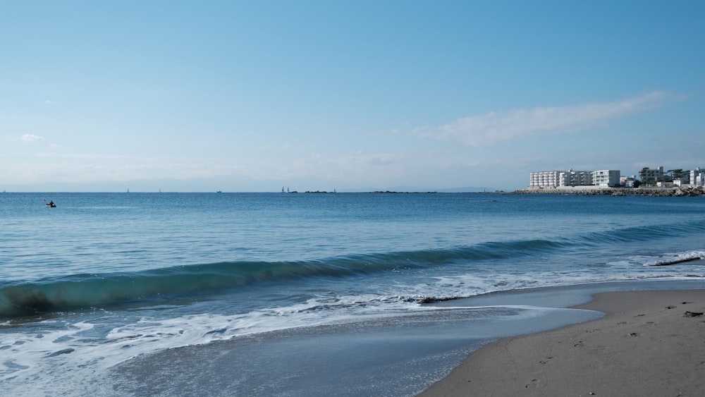 people on beach during daytime