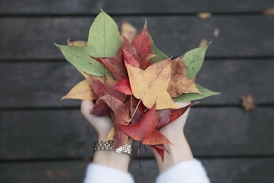 Hands holding a color palette next to autumn leaves and fashion sketches.