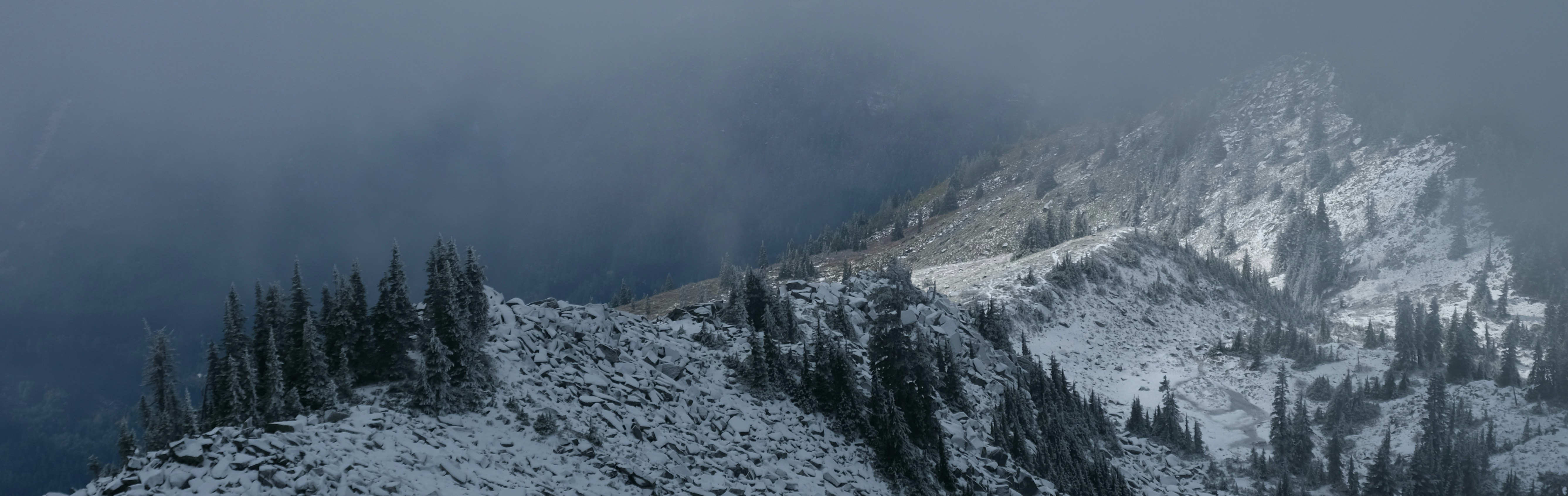 Photo by toastbusters