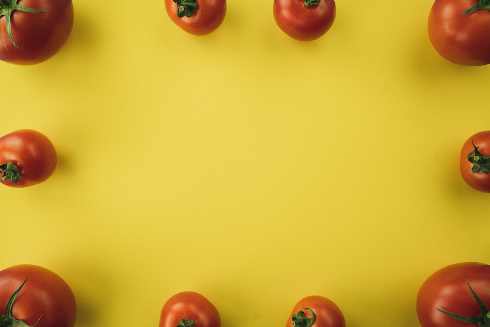 노란색 배경에 빨간 토마토 과일